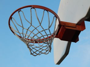 开云中国官网-NBA球员防守意识培养训练法与行为转化研究，nba2021球员防守效率