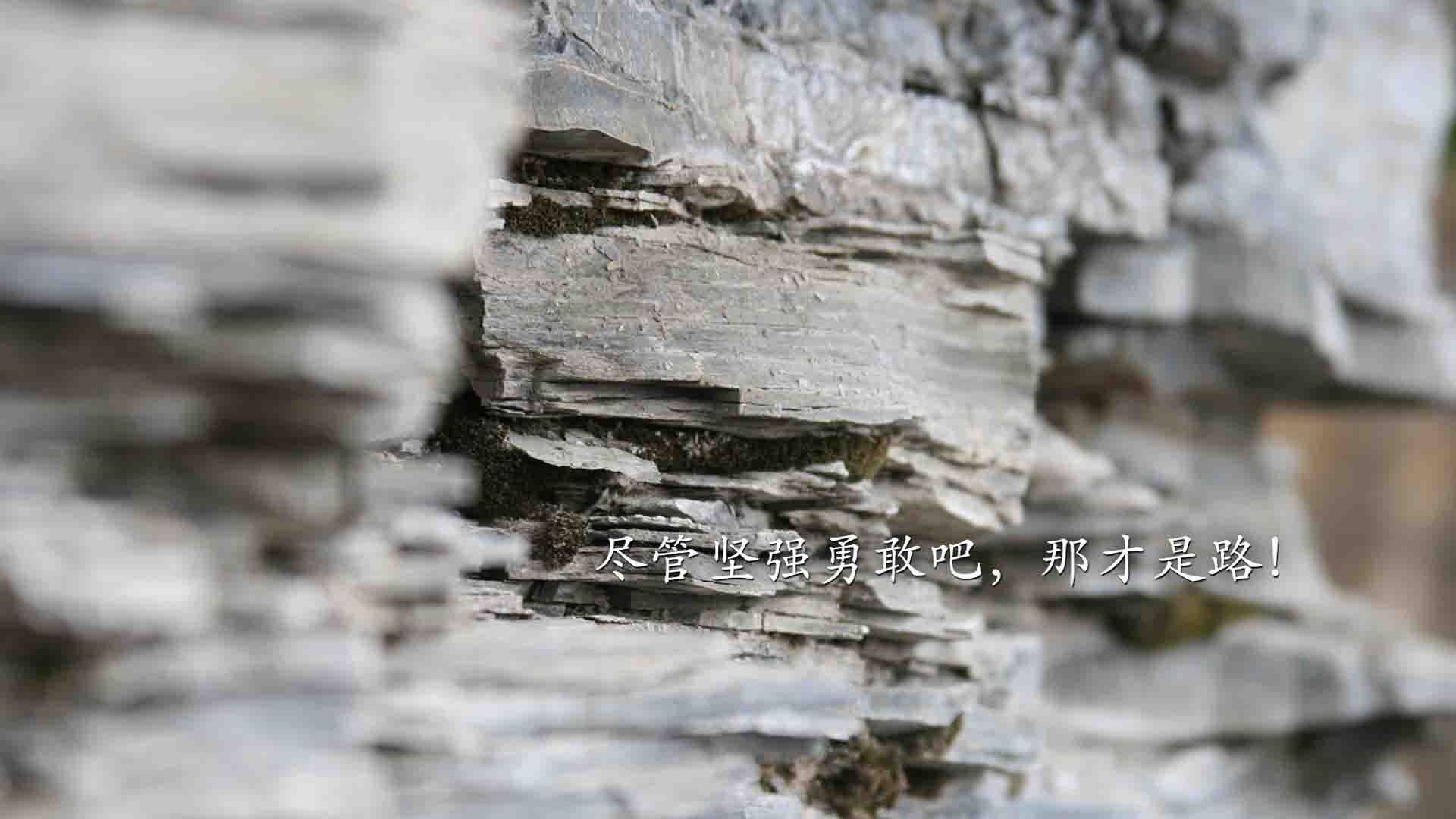 开云综合服务-战术大师：本赛季最具创新的战术部署分析，战术大师是谁