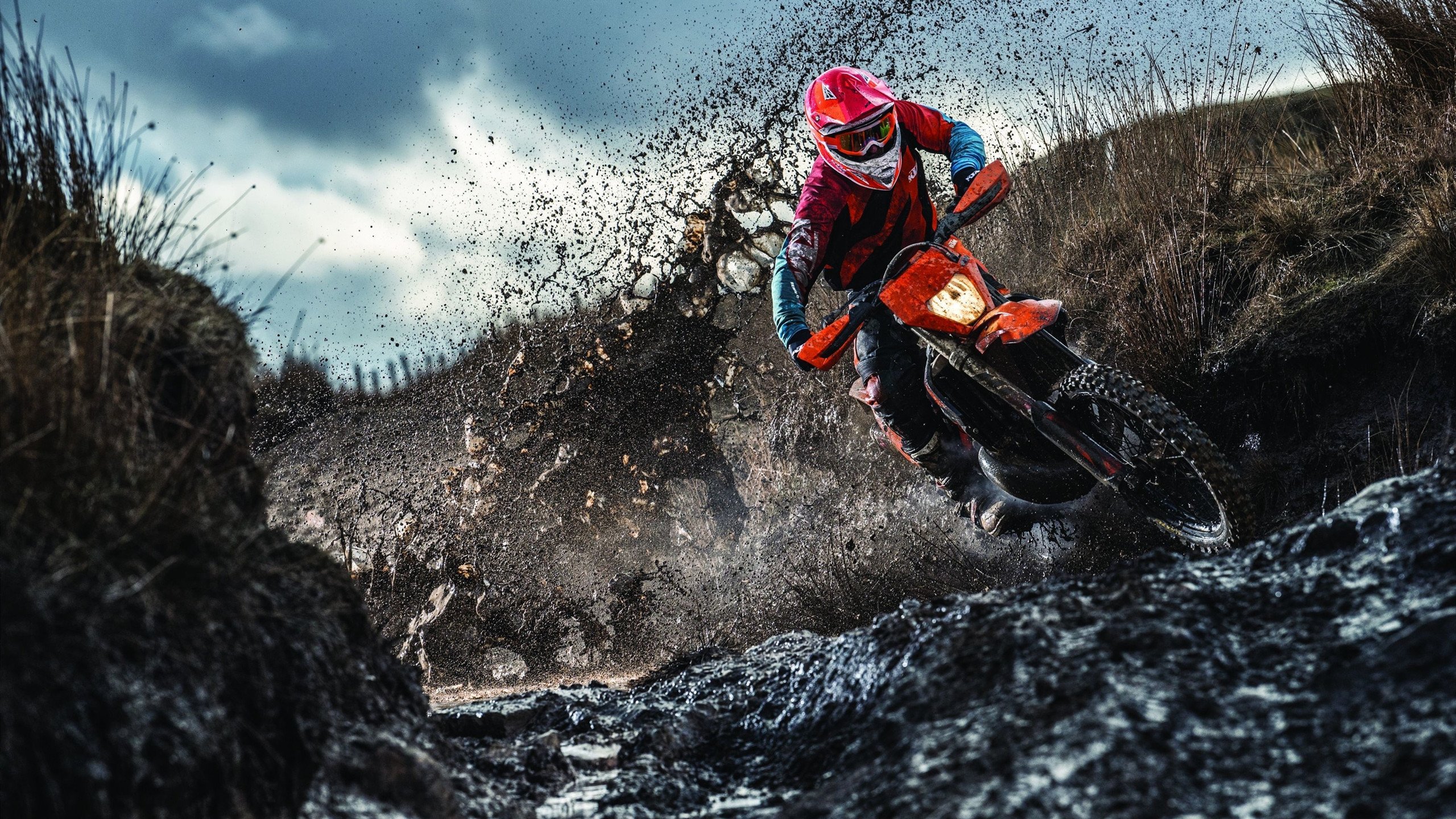 世界铁人三项杯塞尔维亚站 中国女选手克服抽筋困扰坚持完赛获赞